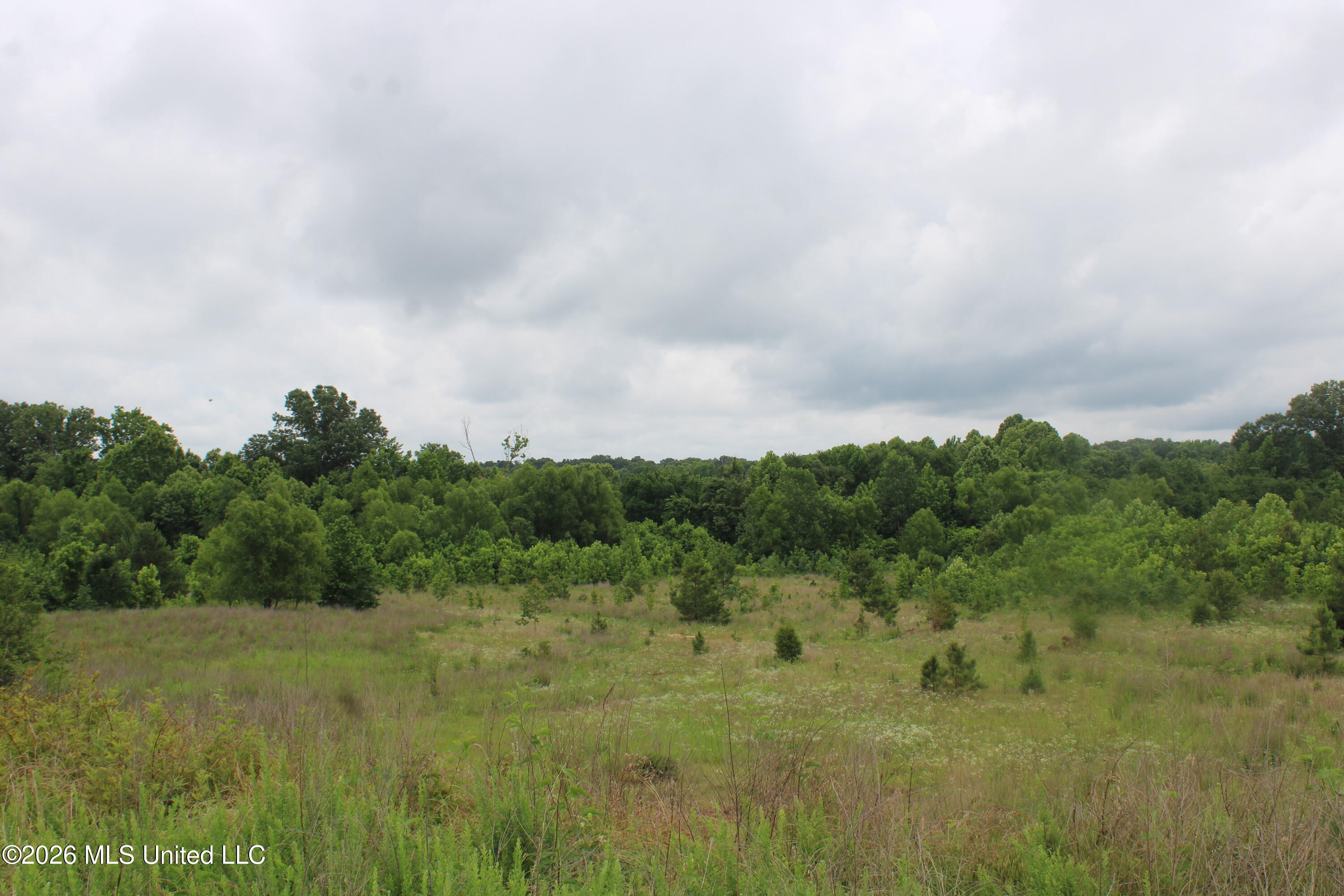 6 Eason Farm Road Property Photo 20