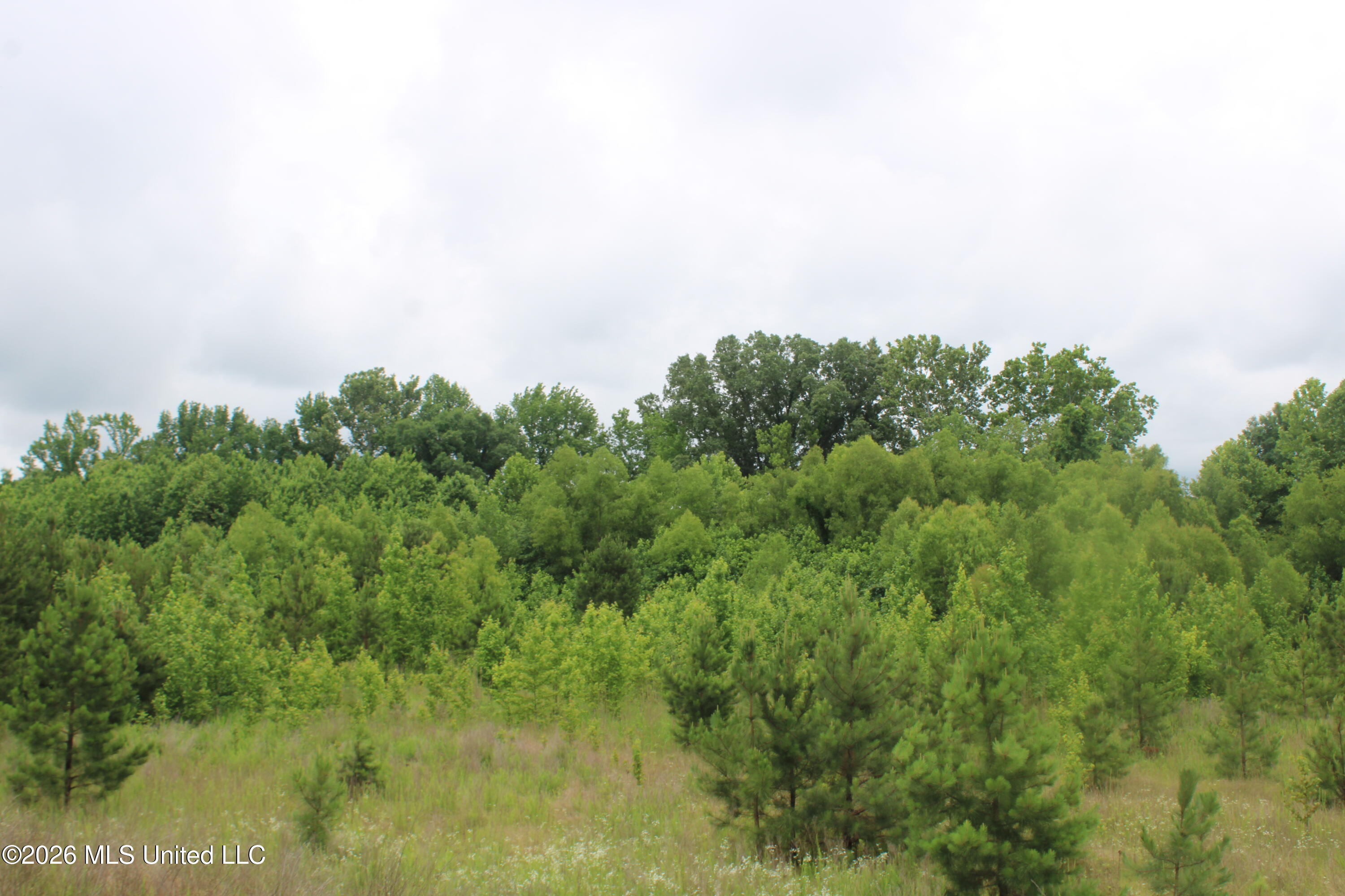 7 Eason Farm Road Property Photo 14