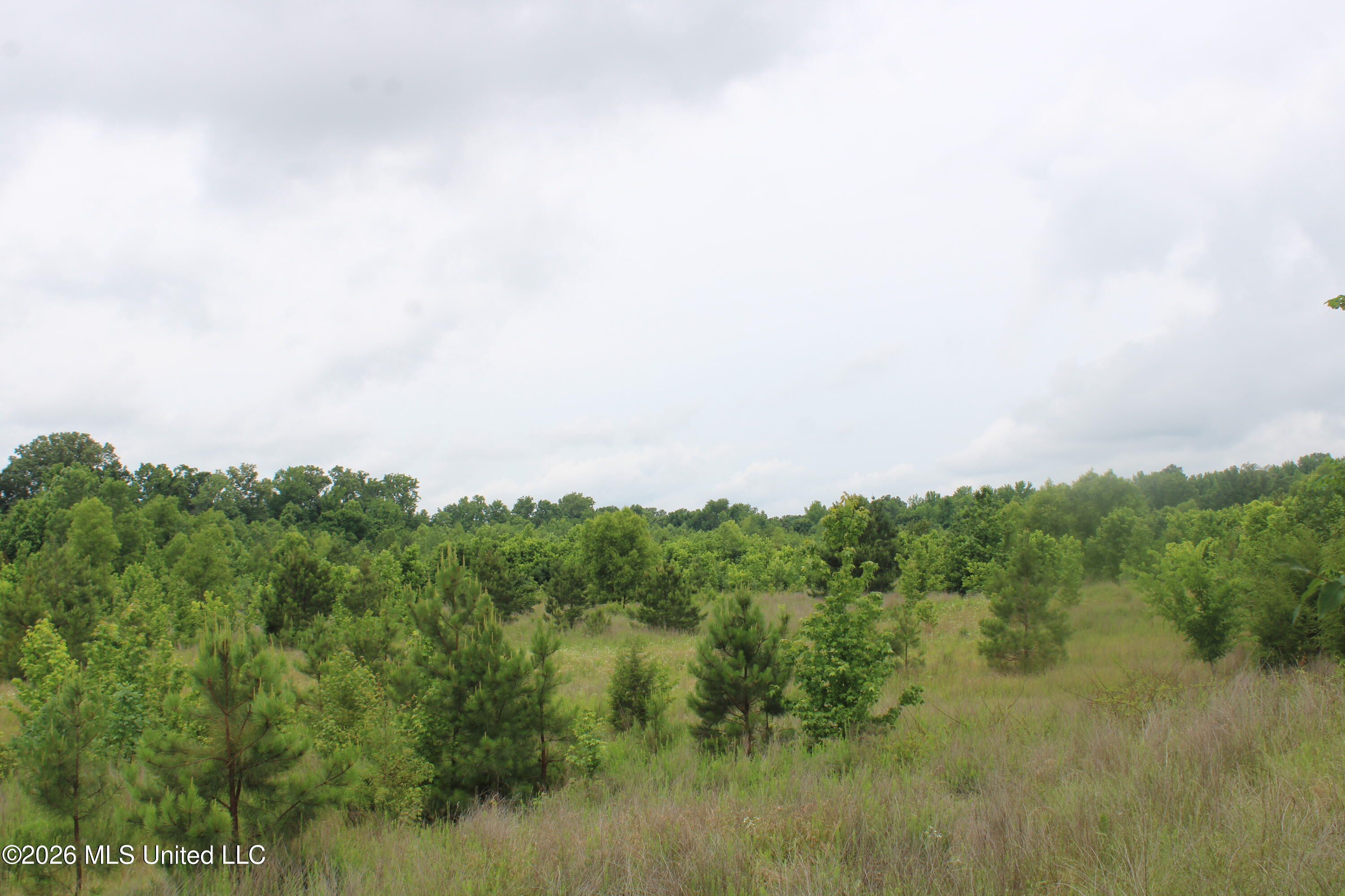 7 Eason Farm Road Property Photo 15
