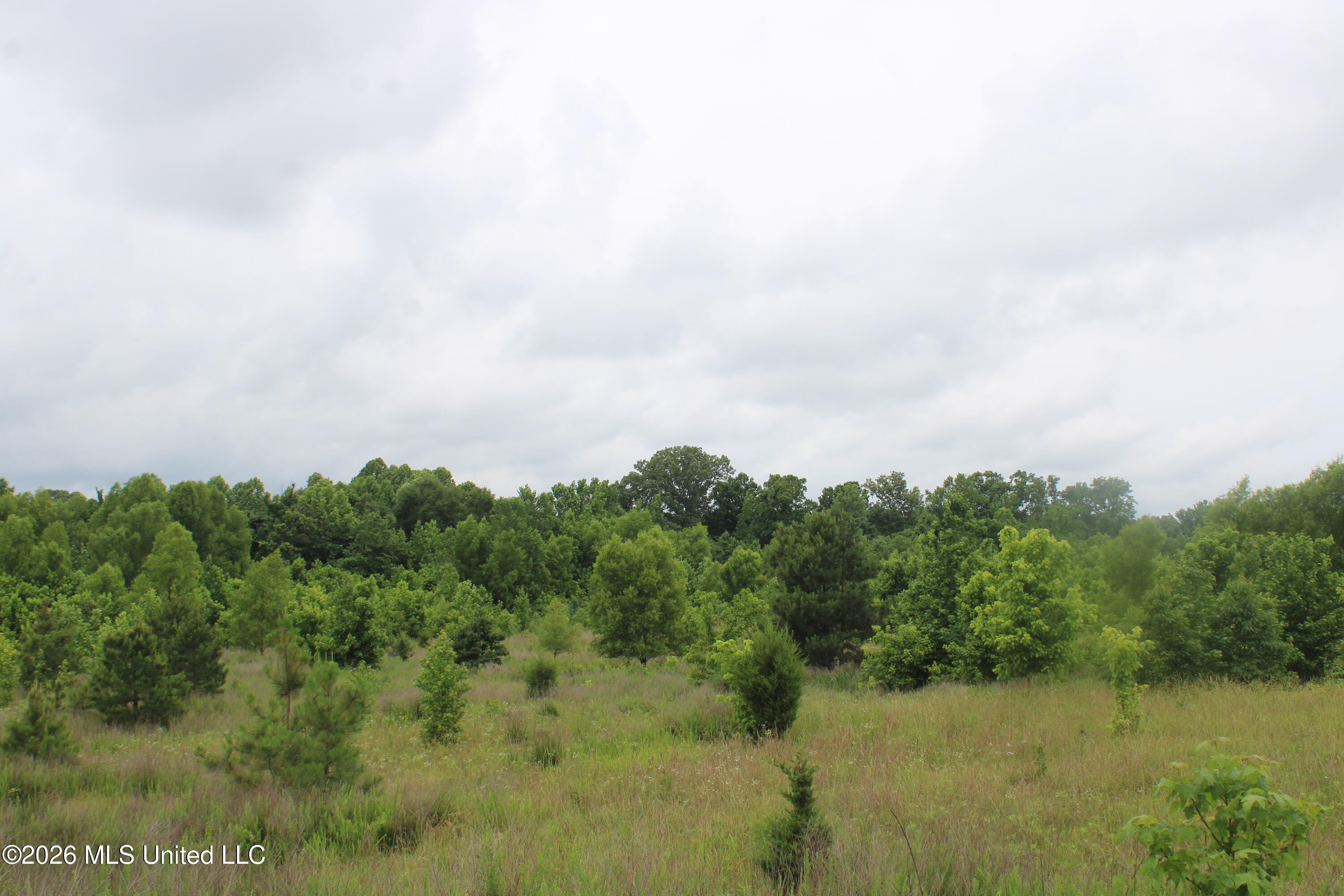 7 Eason Farm Road Property Photo 17