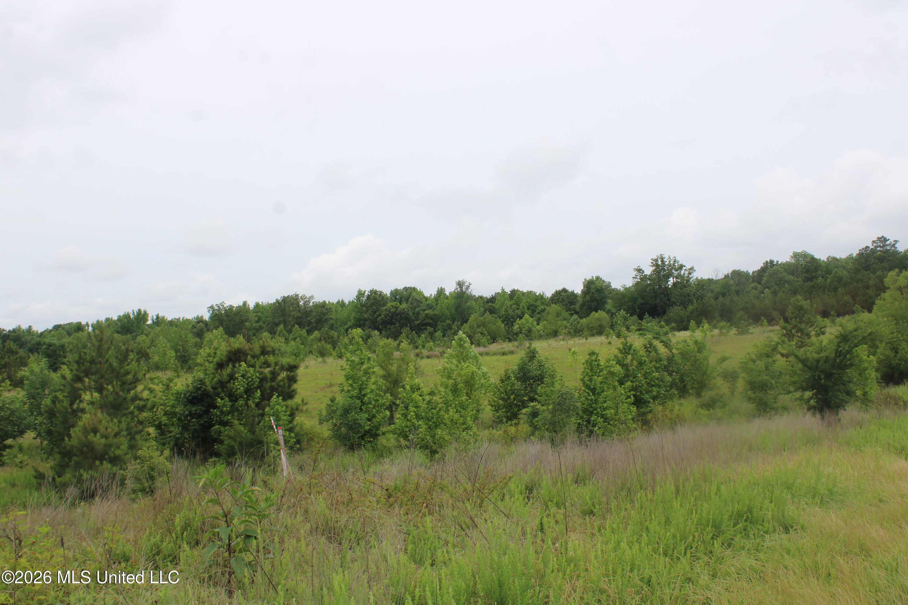 7 Eason Farm Road Property Photo 21