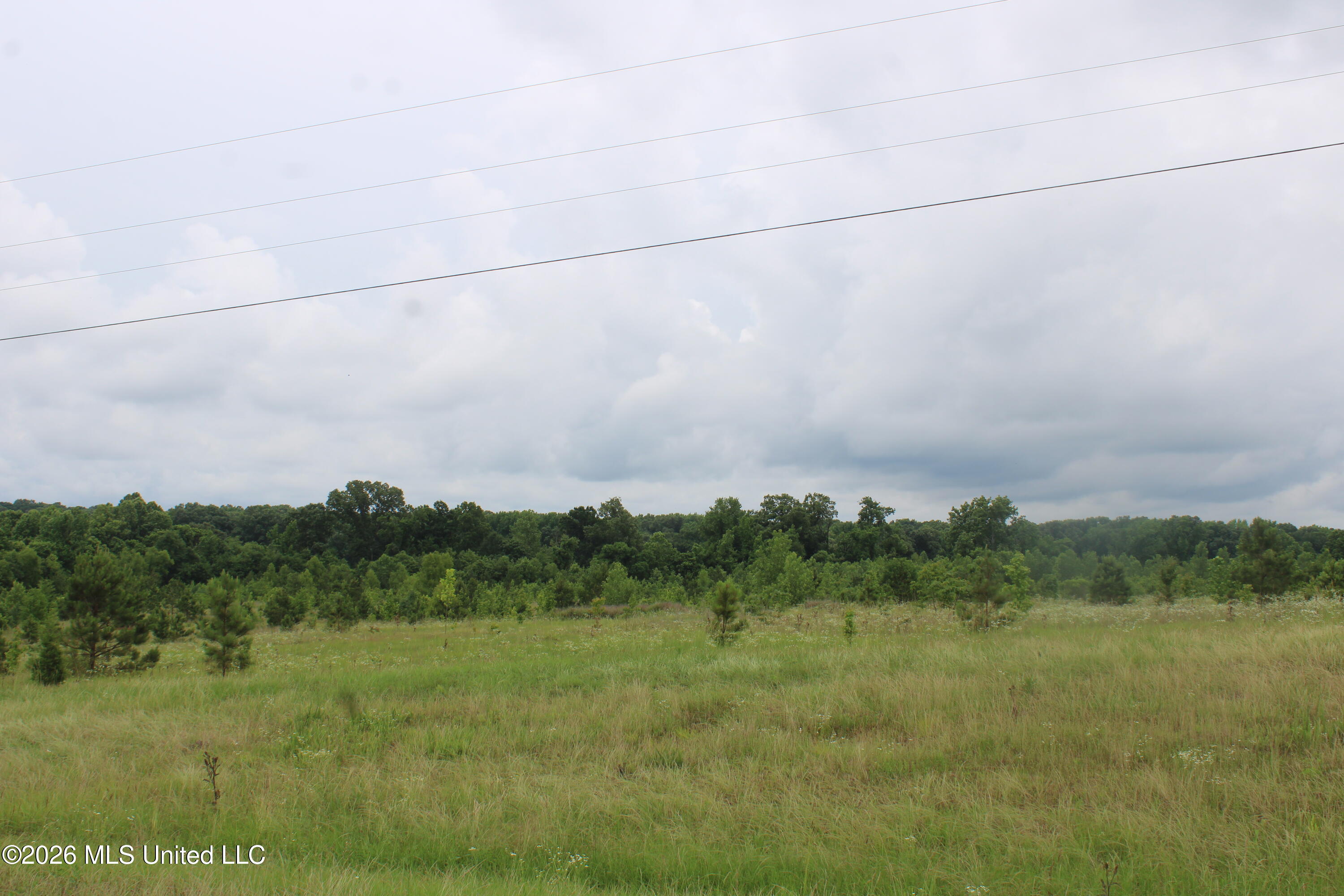 7 Eason Farm Road Property Photo 22