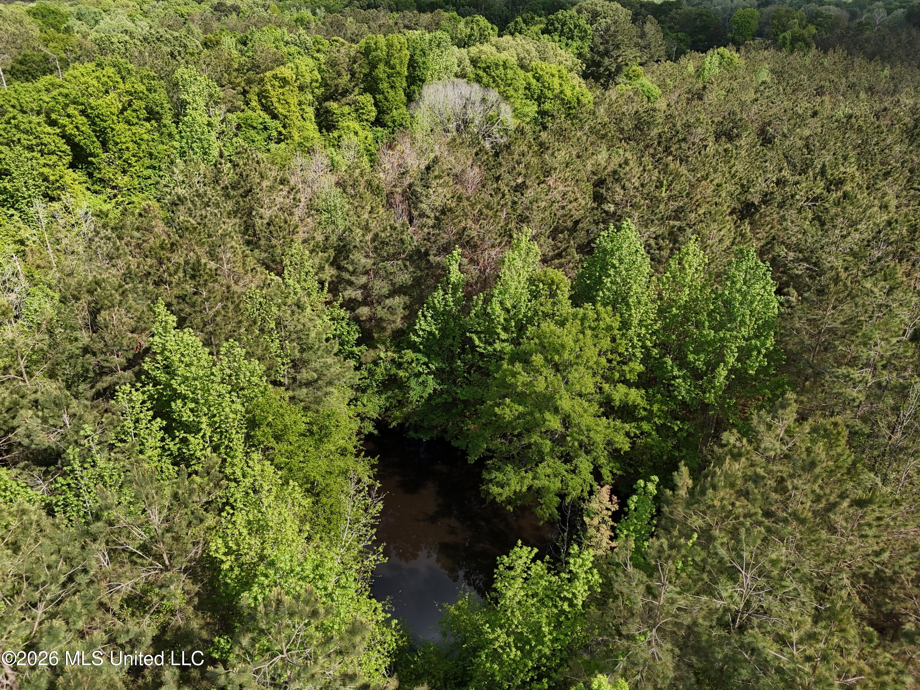 5171 Coxs Ferry Road Property Photo 5