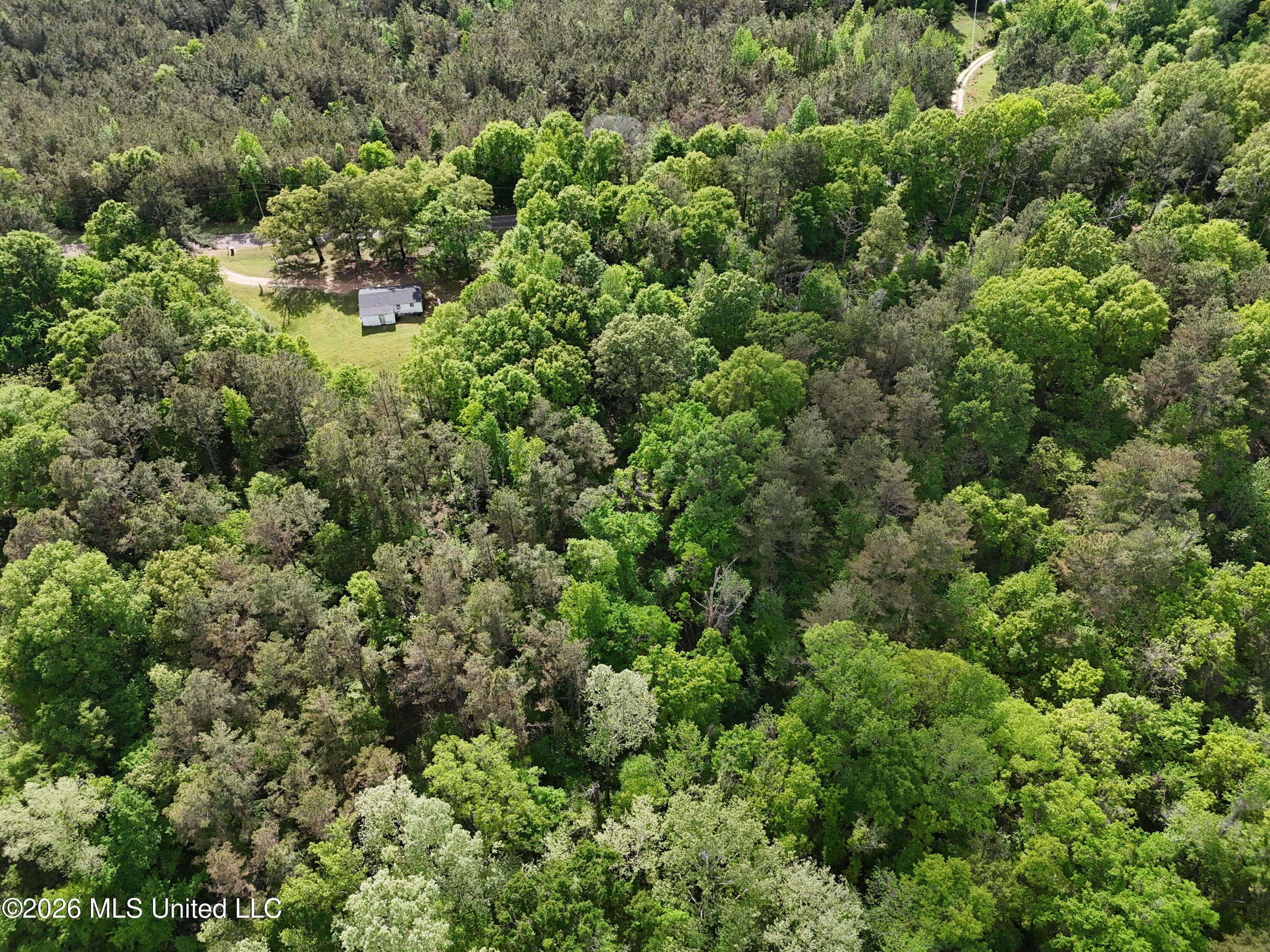 5171 Coxs Ferry Road Property Photo 6