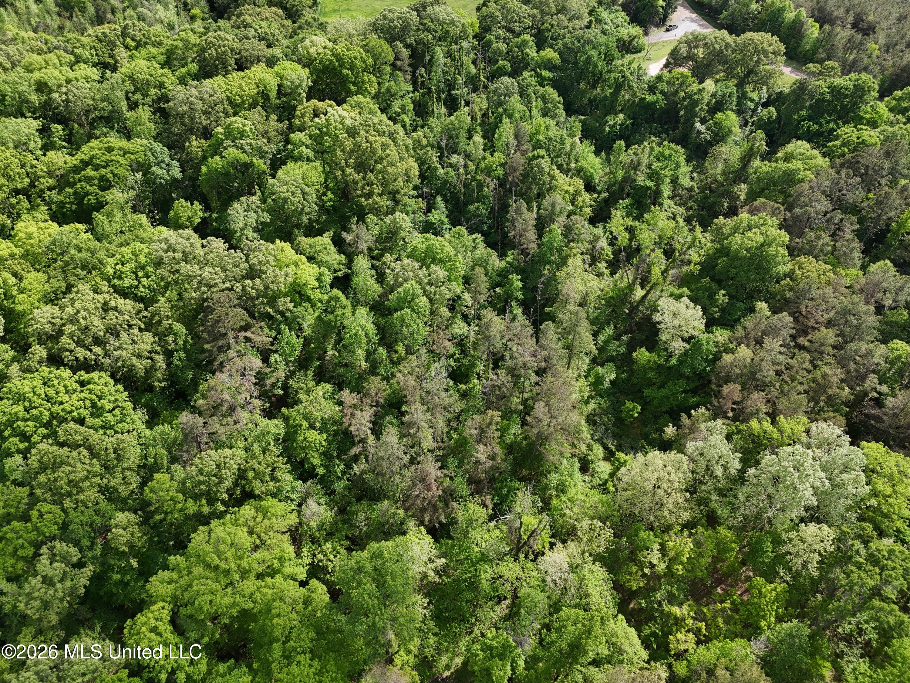 5171 Coxs Ferry Road Property Photo 7