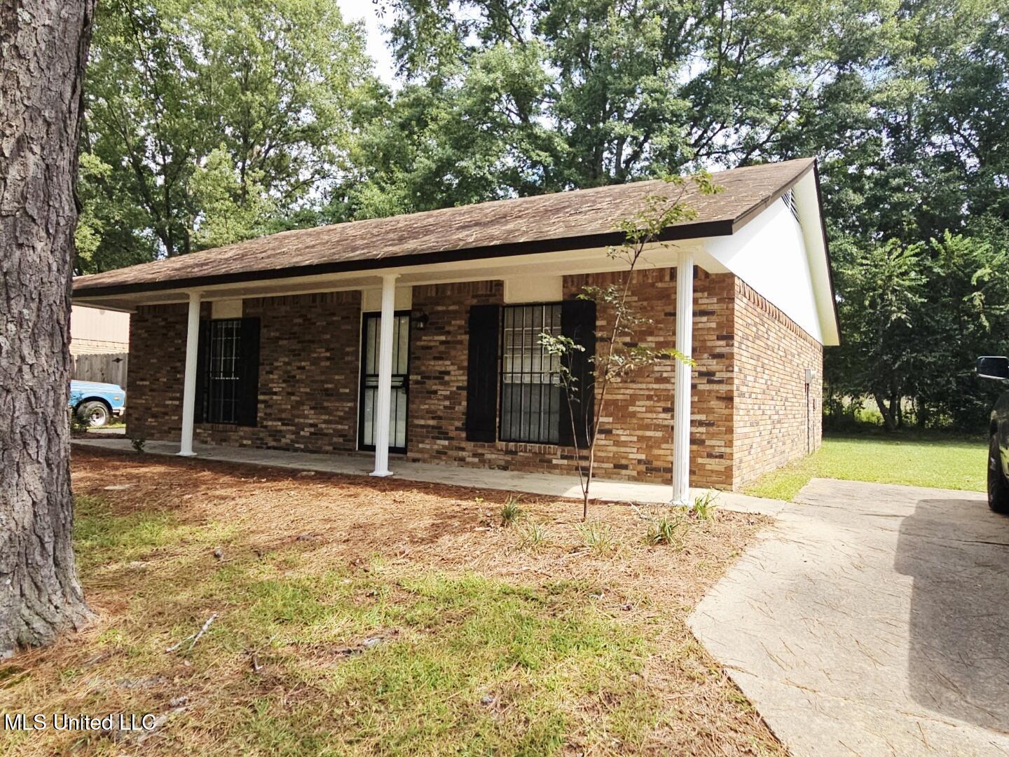 2336 Princess Pine Drive Property Photo 3