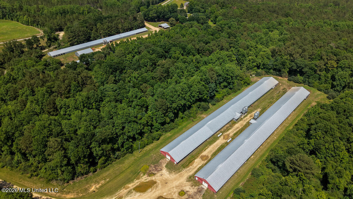 Smithtown Chicora Road Property Photo 1