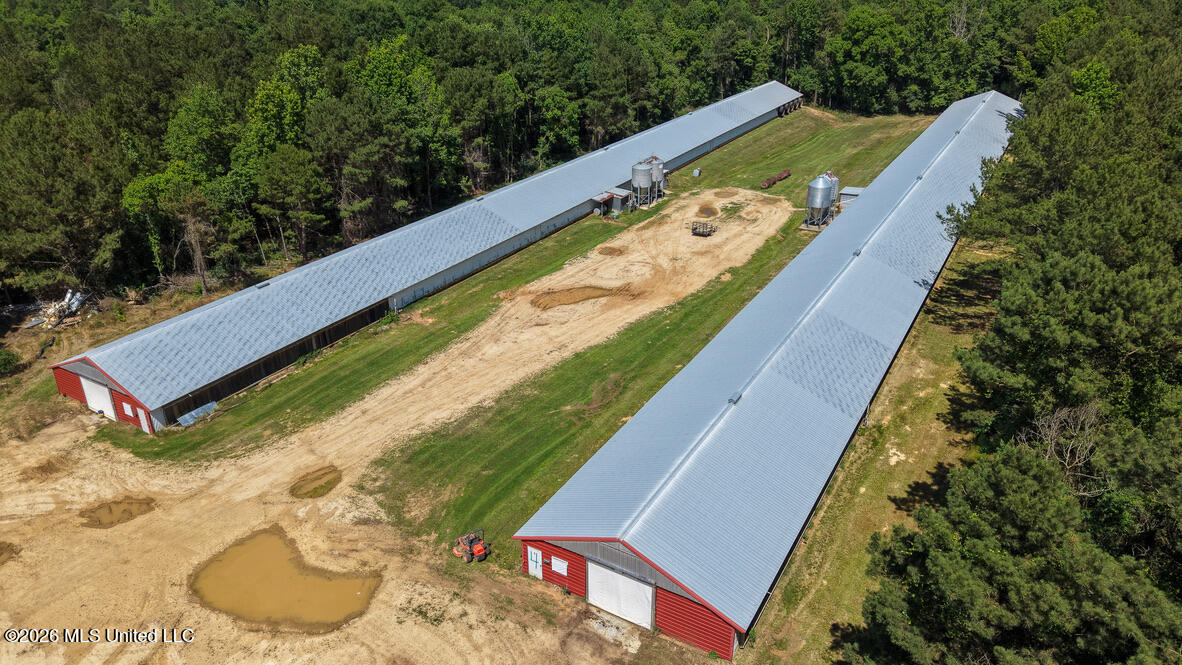 Smithtown Chicora Road Property Photo 2