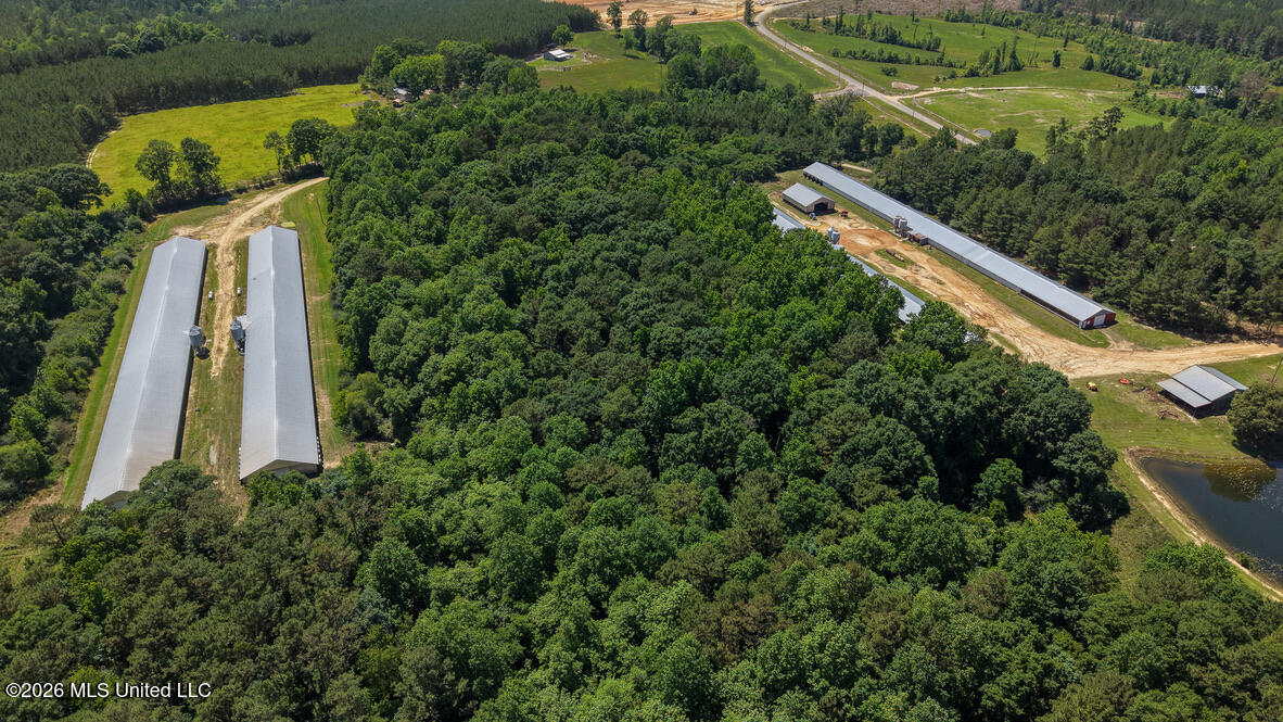 Smithtown Chicora Road Property Photo 3