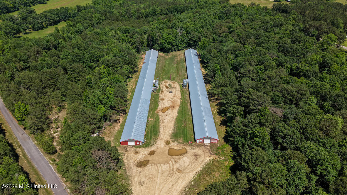 Smithtown Chicora Road Property Photo 4