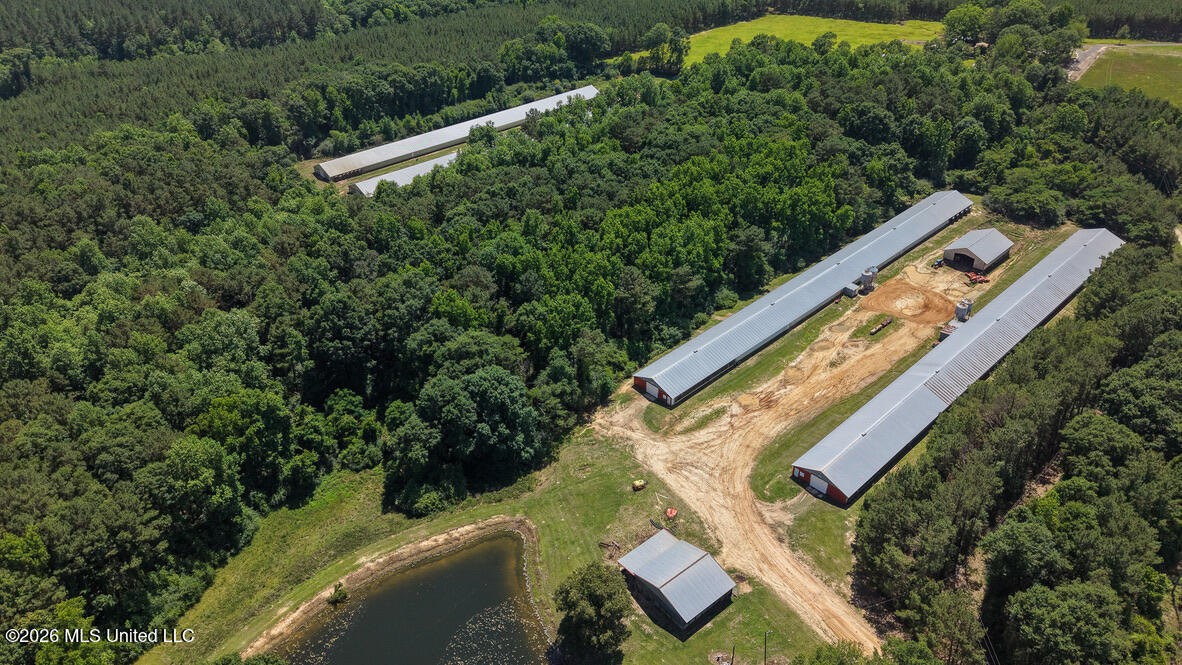 Smithtown Chicora Road Property Photo 6