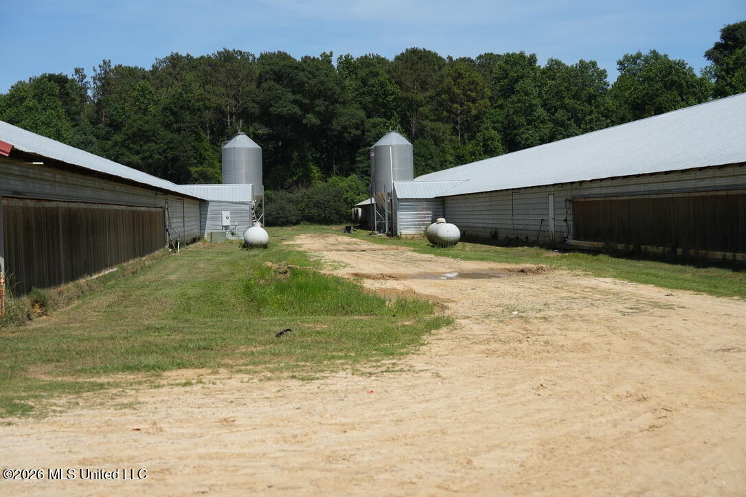 Smithtown Chicora Road Property Photo 13