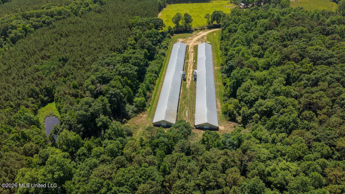 Smithtown Chicora Road Property Photo 37