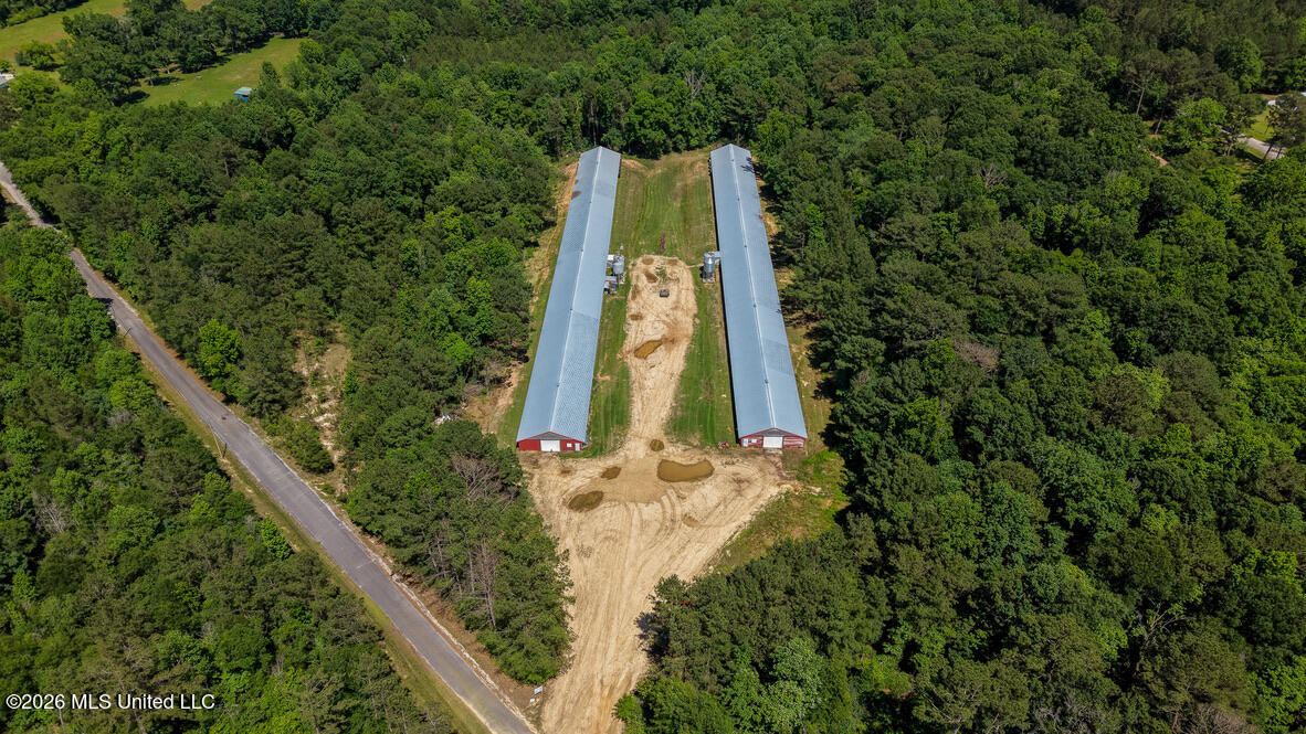 Smithtown Chicora Road Property Photo 38