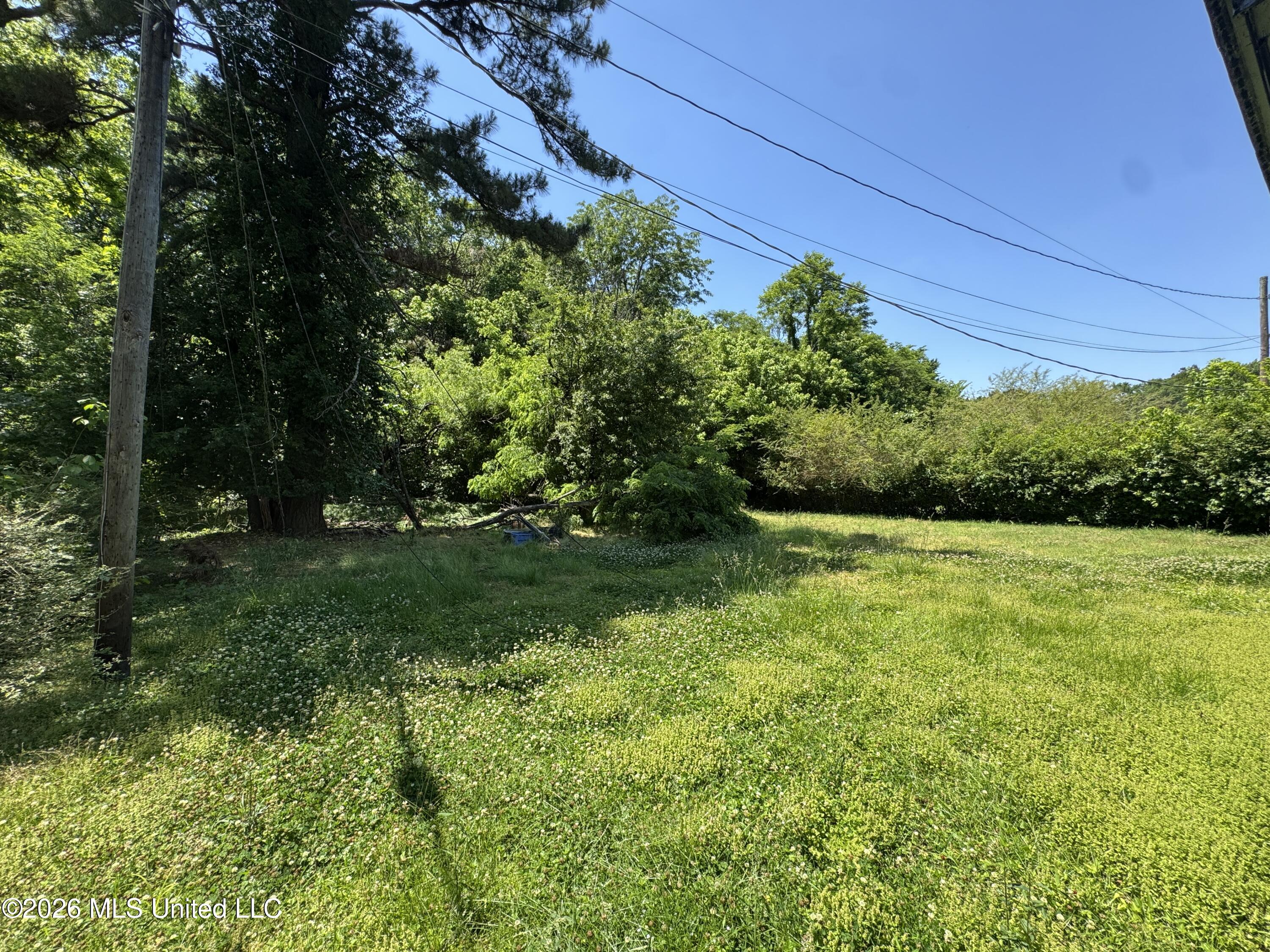 128 Isom Drive Property Photo 5