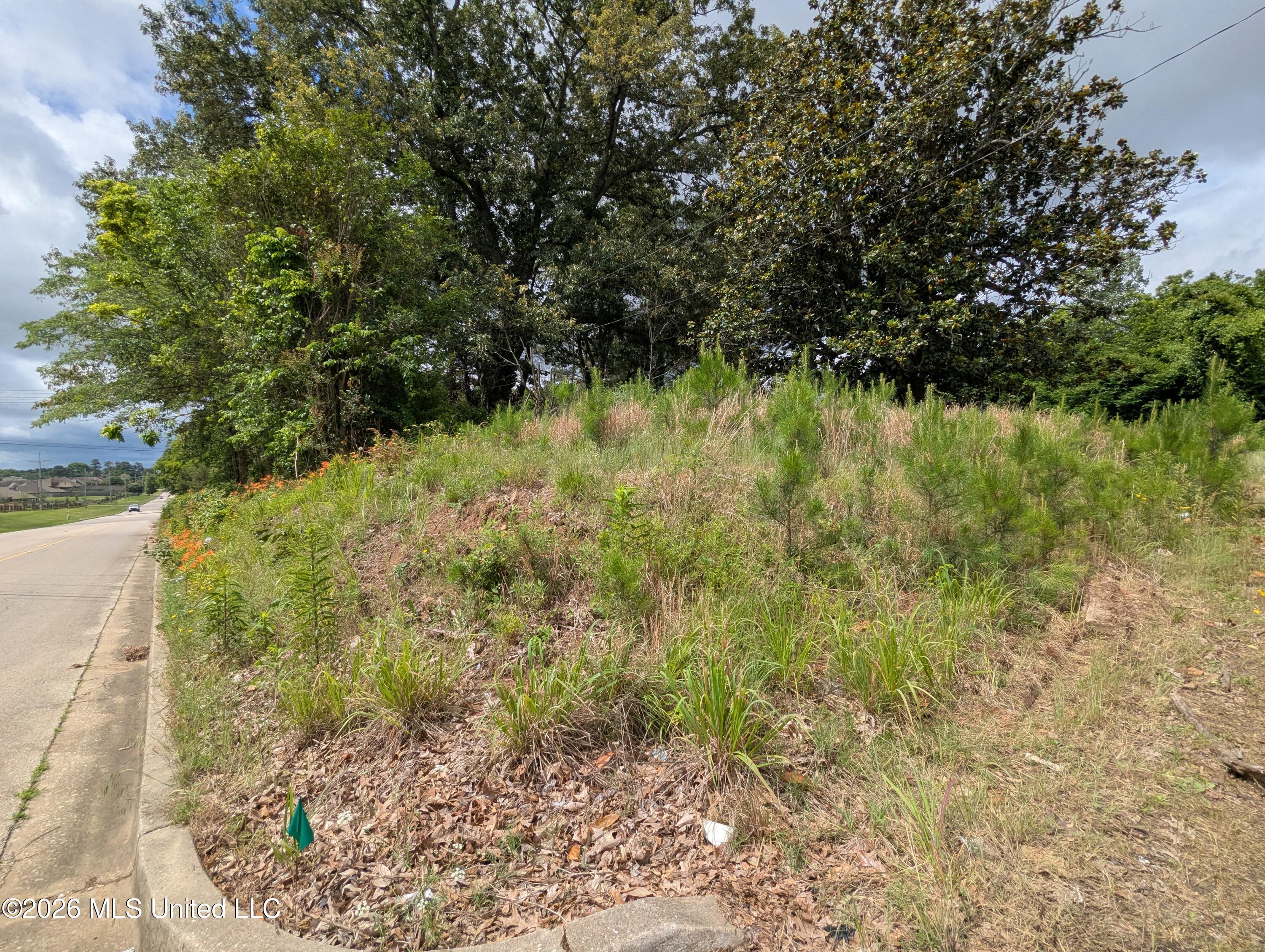 8755 Tchulahoma Road Property Photo 3