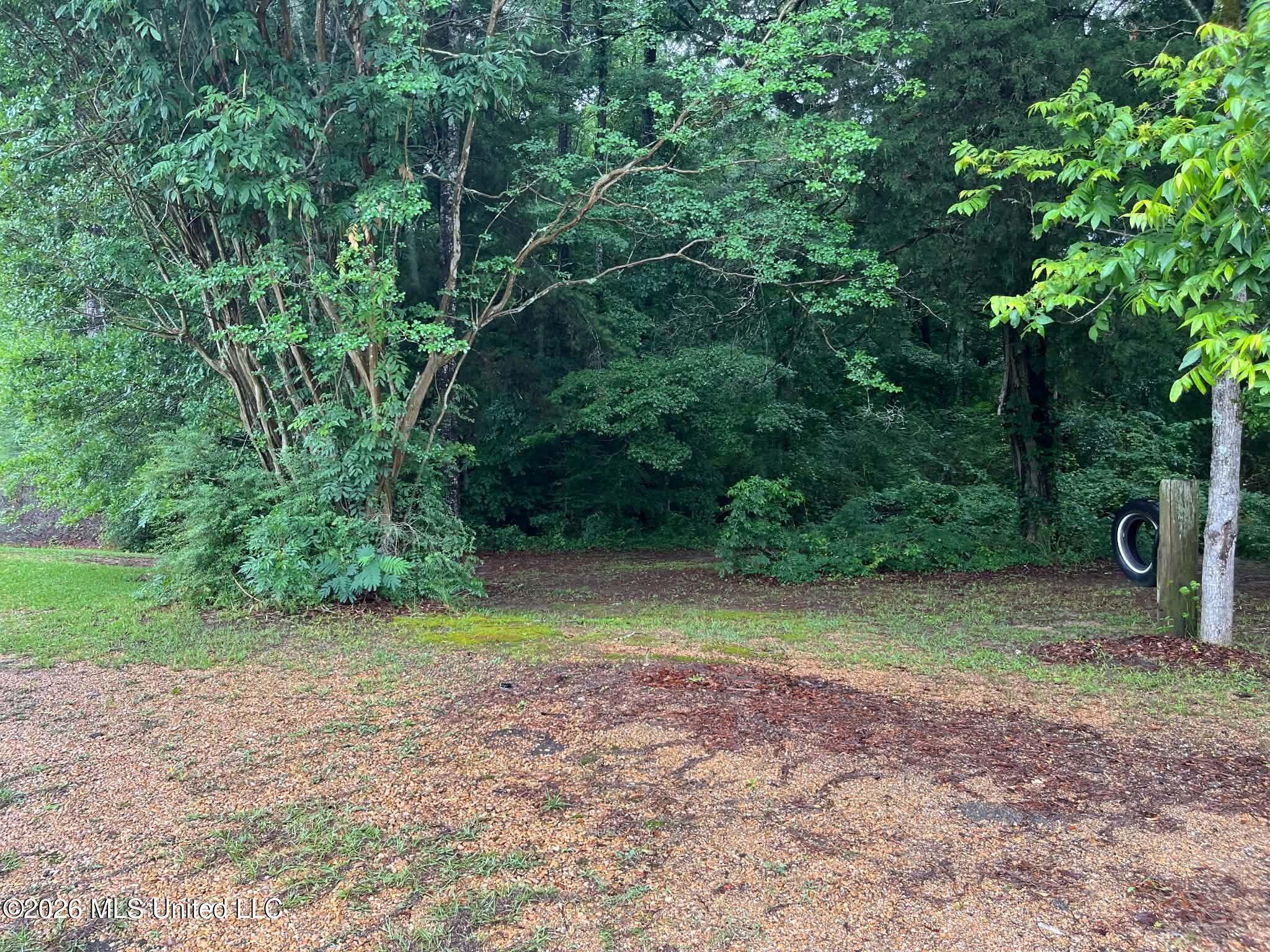 1066 Highway 43 Property Photo 4