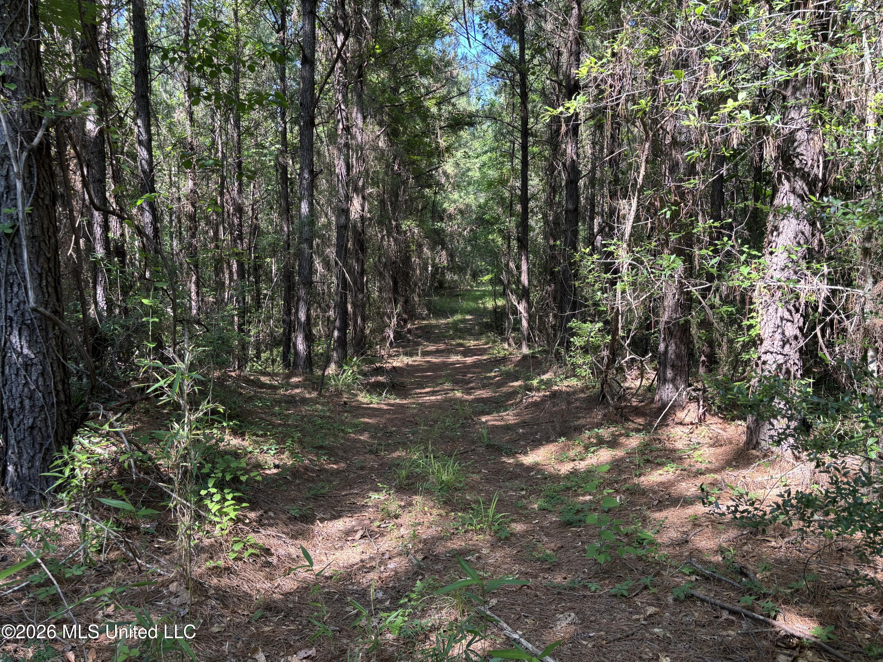 Beach Road Property Photo 6