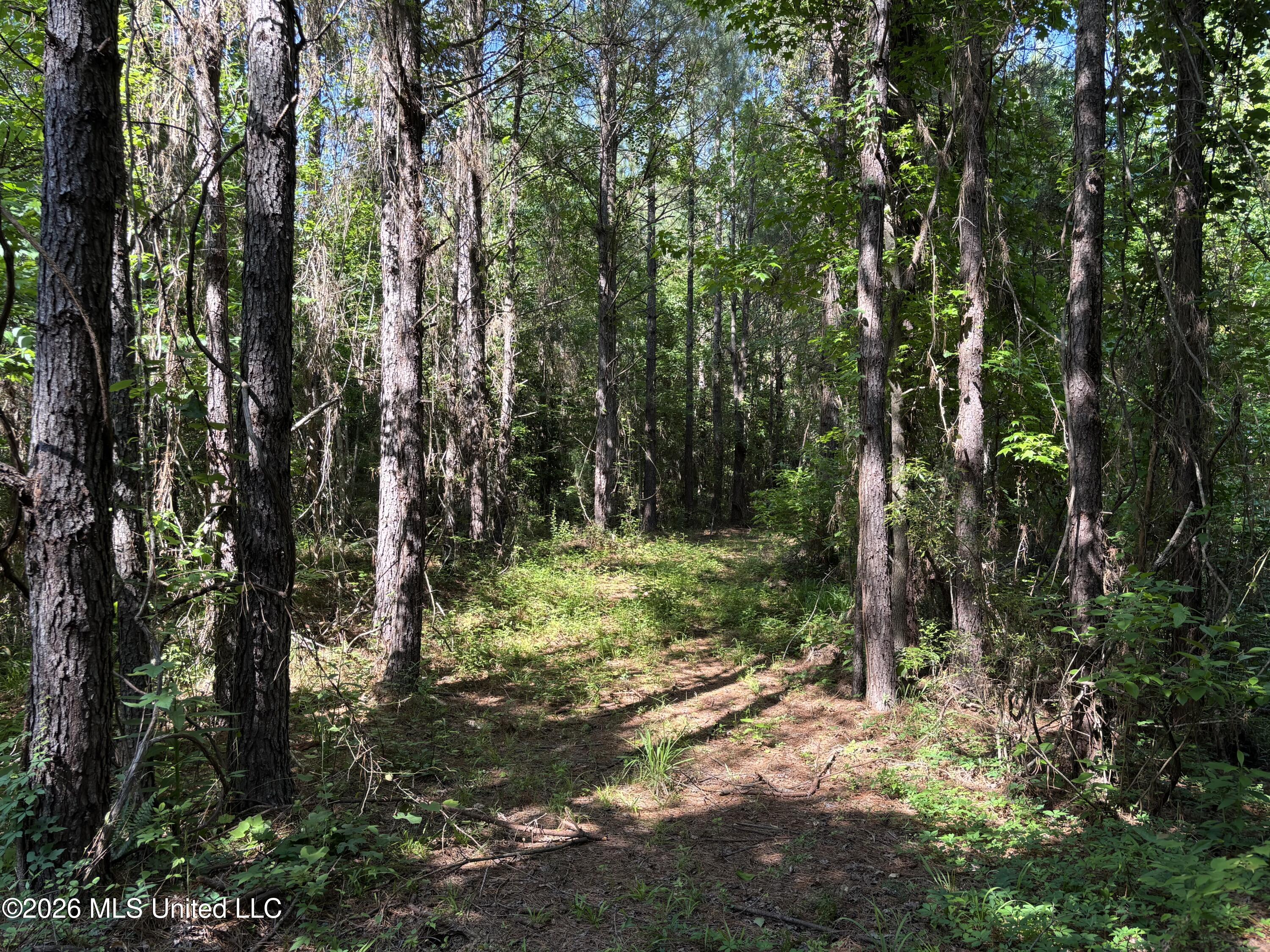 Beach Road Property Photo 7