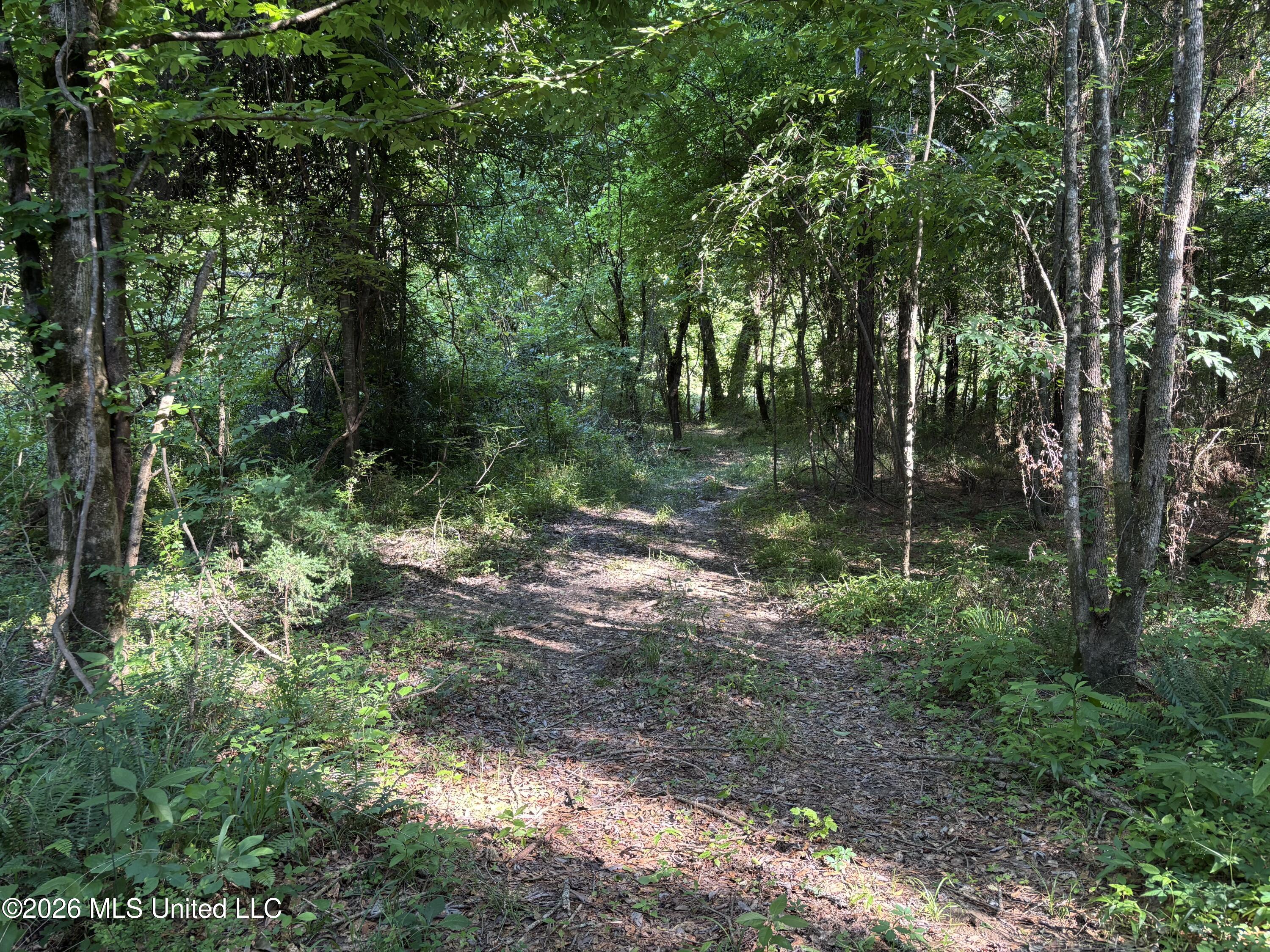 Beach Road Property Photo 16