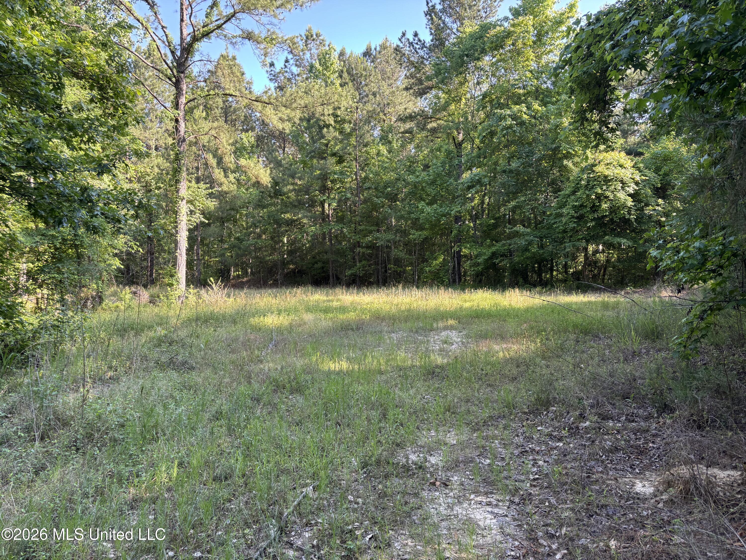Beach Road Property Photo 18