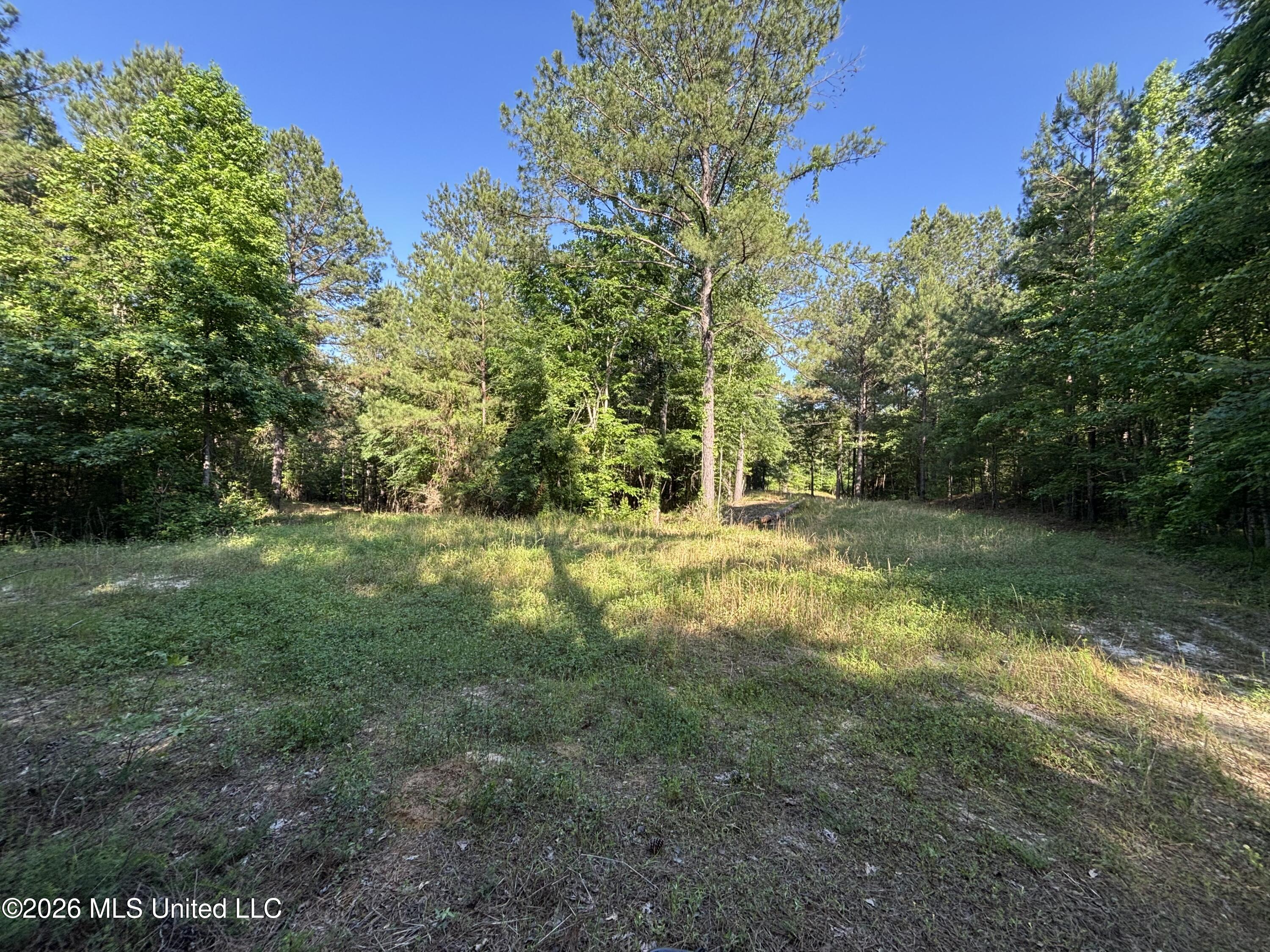 Beach Road Property Photo 19