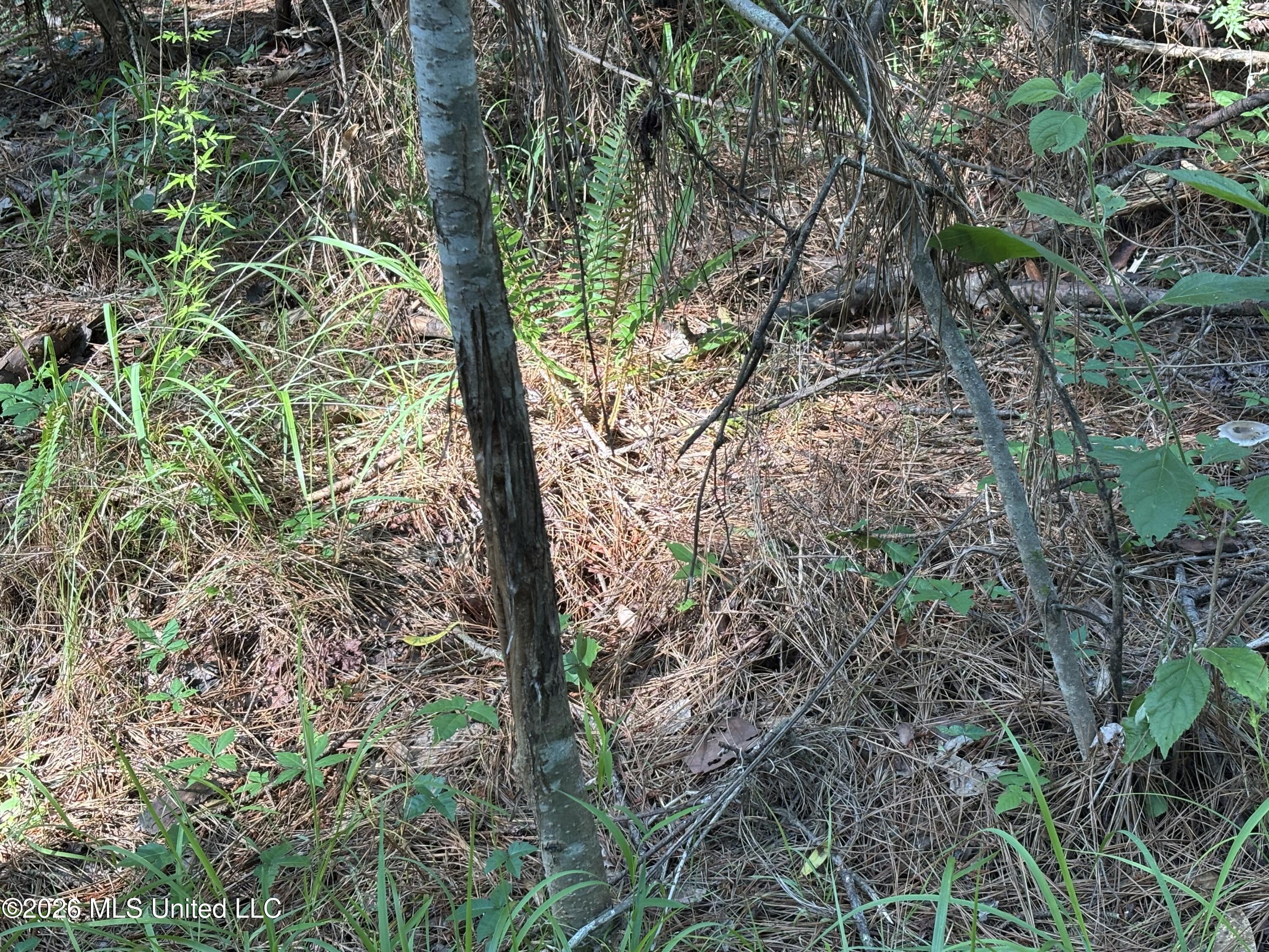 Beach Road Property Photo 22