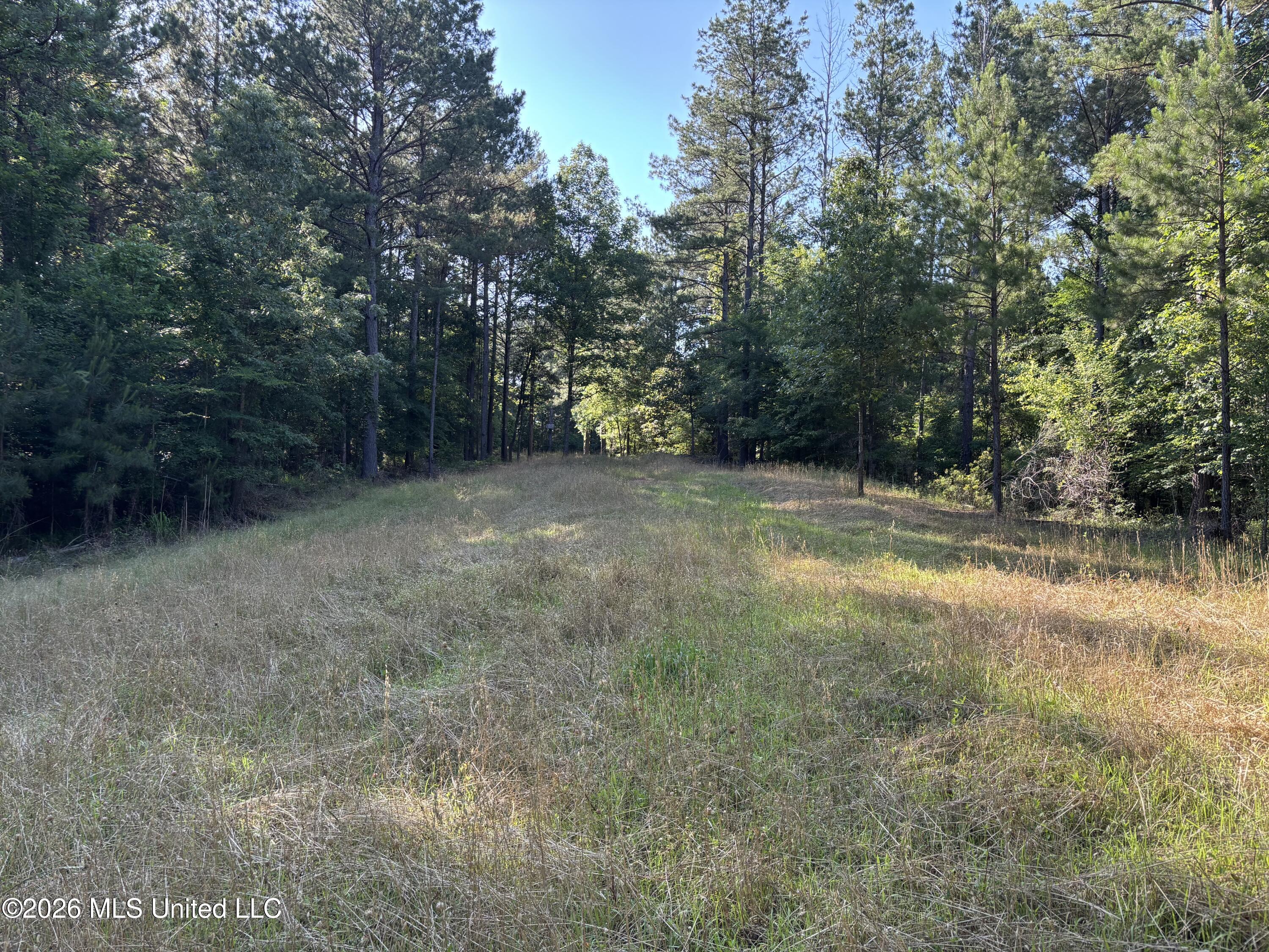 Beach Road Property Photo 23