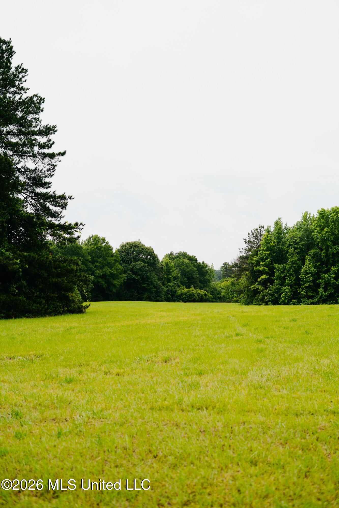 Ms-18 Property Photo 8