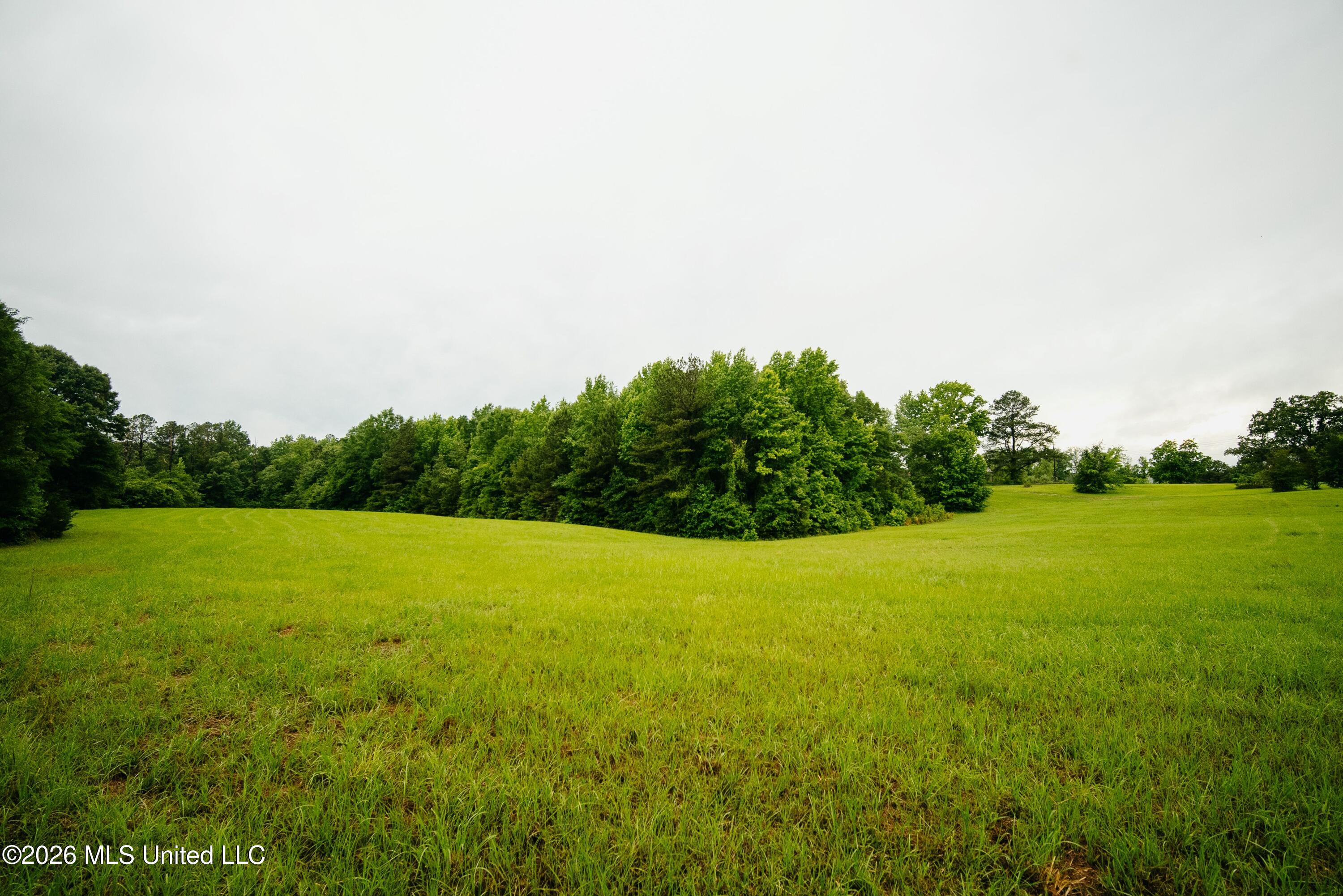 Ms-18 Property Photo 21