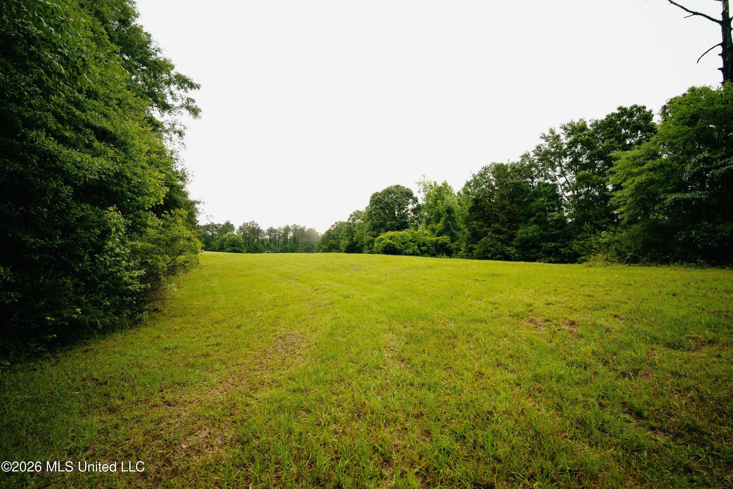 Ms-18 Property Photo 23