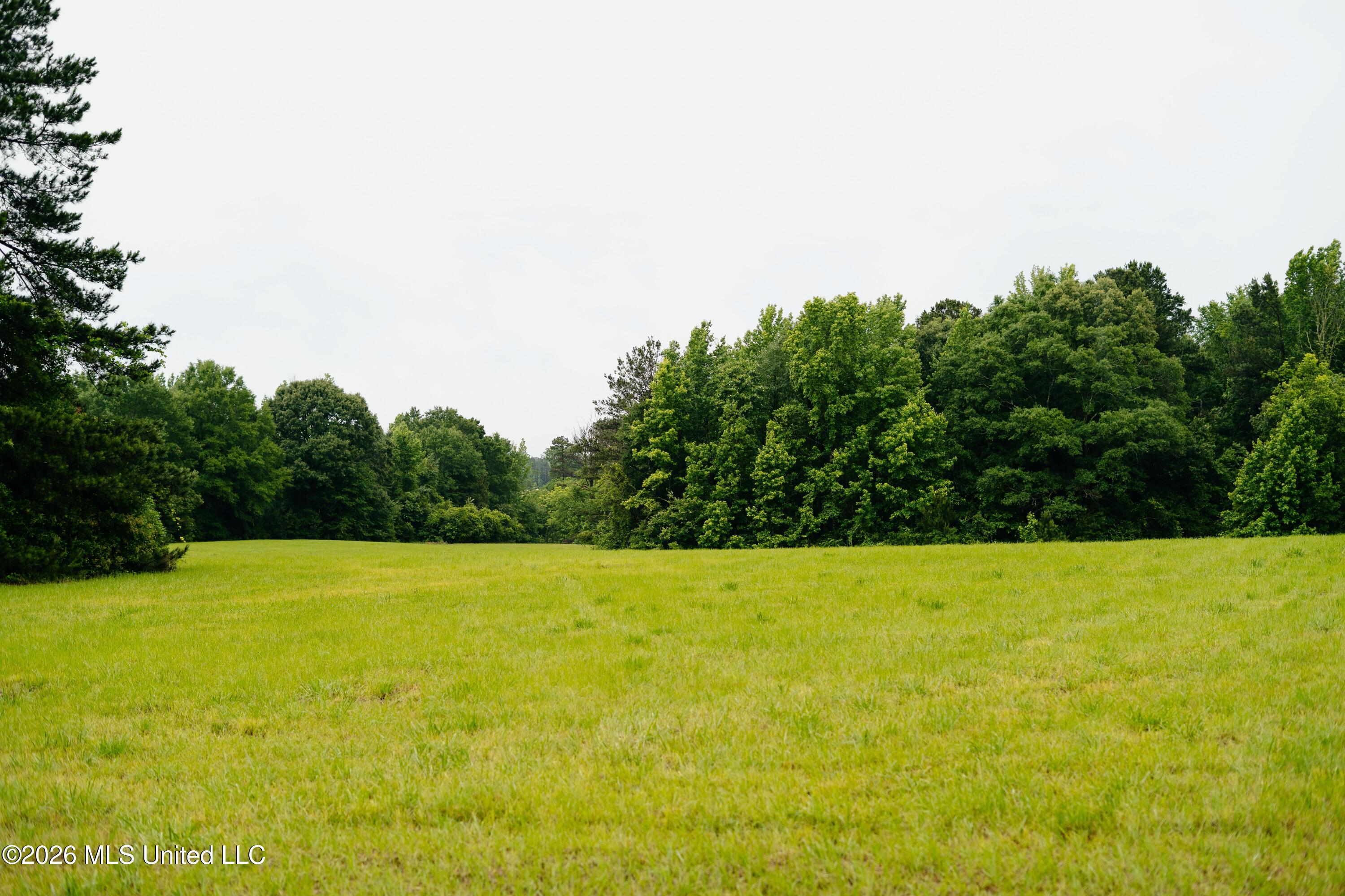 Ms-18 Property Photo 26