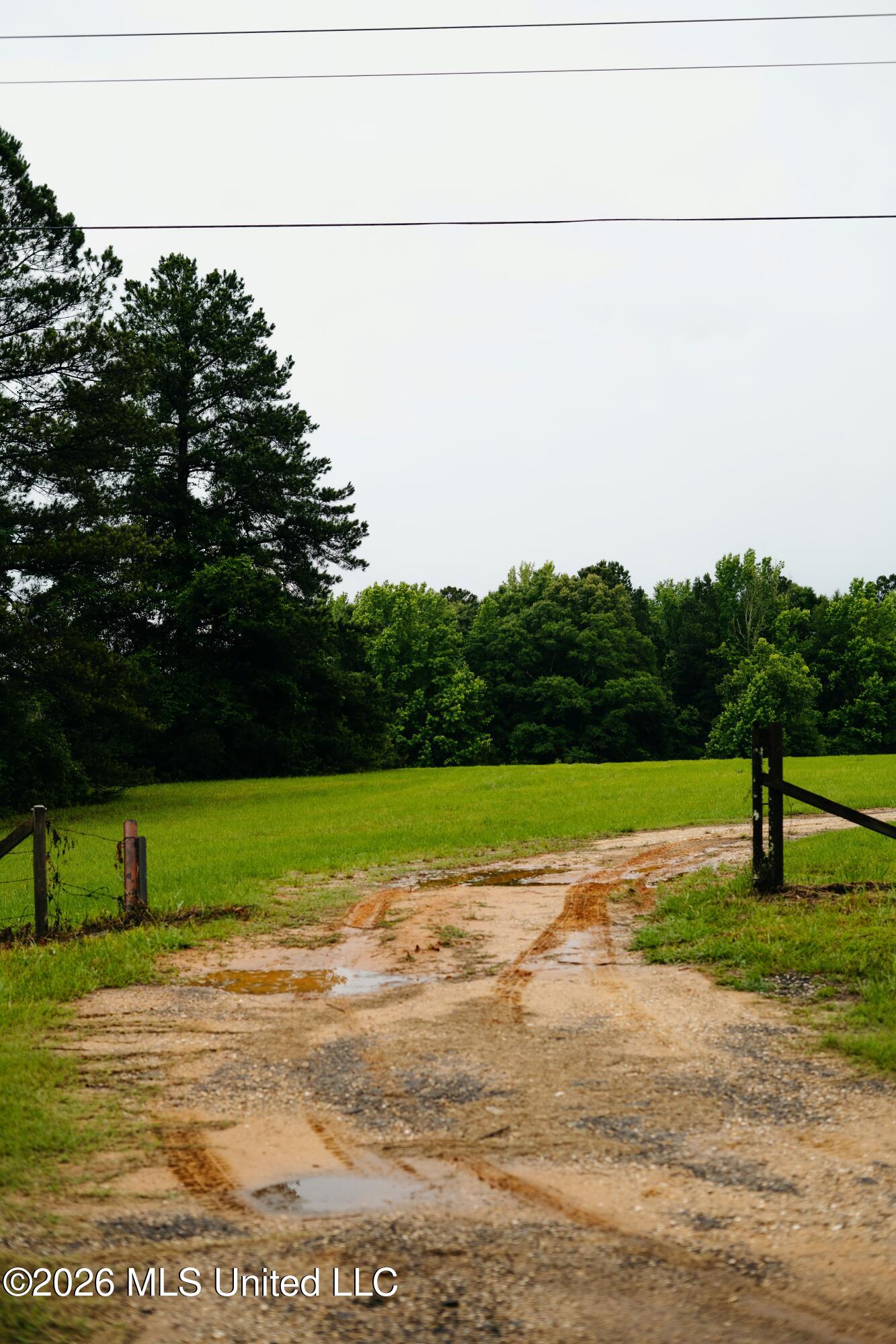 Ms-18 Property Photo 28