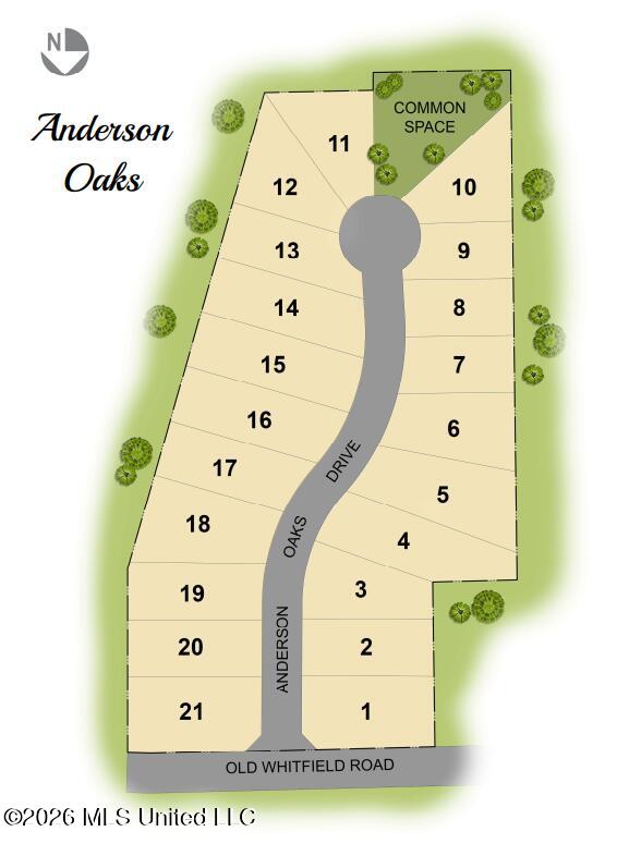 216 Anderson Oaks Drive Property Photo 35