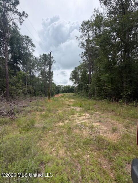 143 Mill Creek Lane Property Photo 4