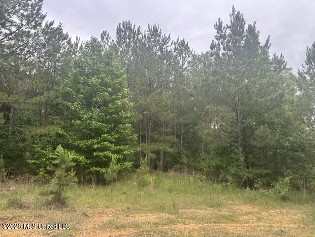 1048 Williamson Road Property Photo 1