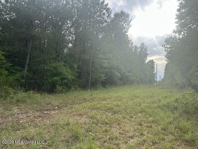 1048 Williamson Road Property Photo 3