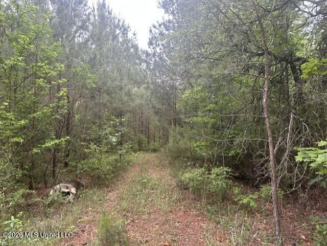 1048 Williamson Road Property Photo 4