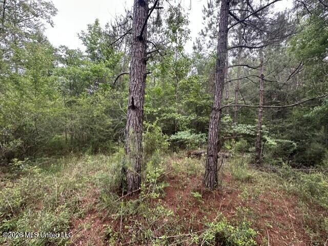 1048 Williamson Road Property Photo 5