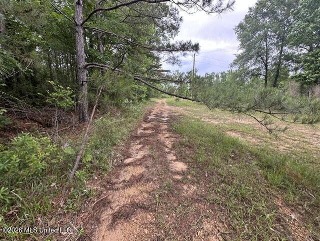 1048 Williamson Road Property Photo 6