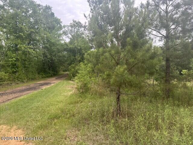 1048 Williamson Road Property Photo 7