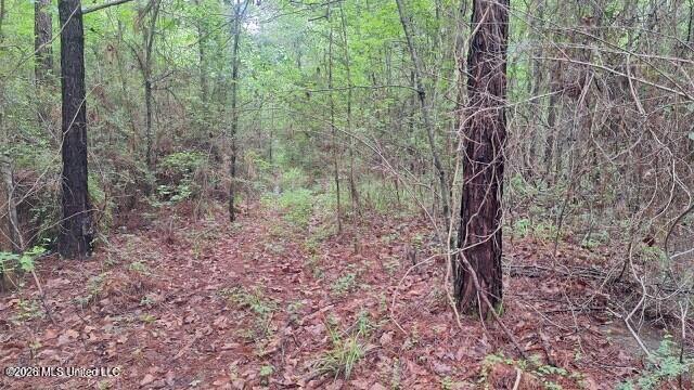 1048 Williamson Road Property Photo 8