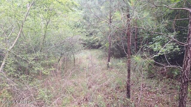 1048 Williamson Road Property Photo 9
