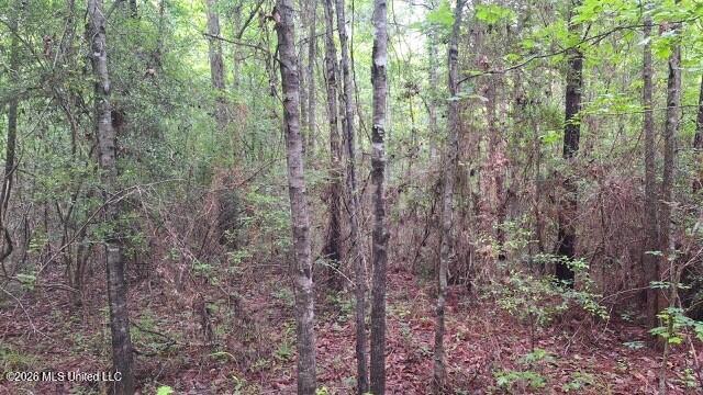 1048 Williamson Road Property Photo 10