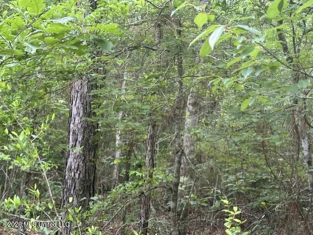 1048 Williamson Road Property Photo 11
