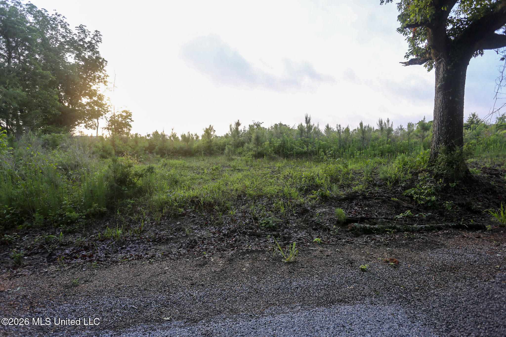 Oak Grove Road Property Photo 1