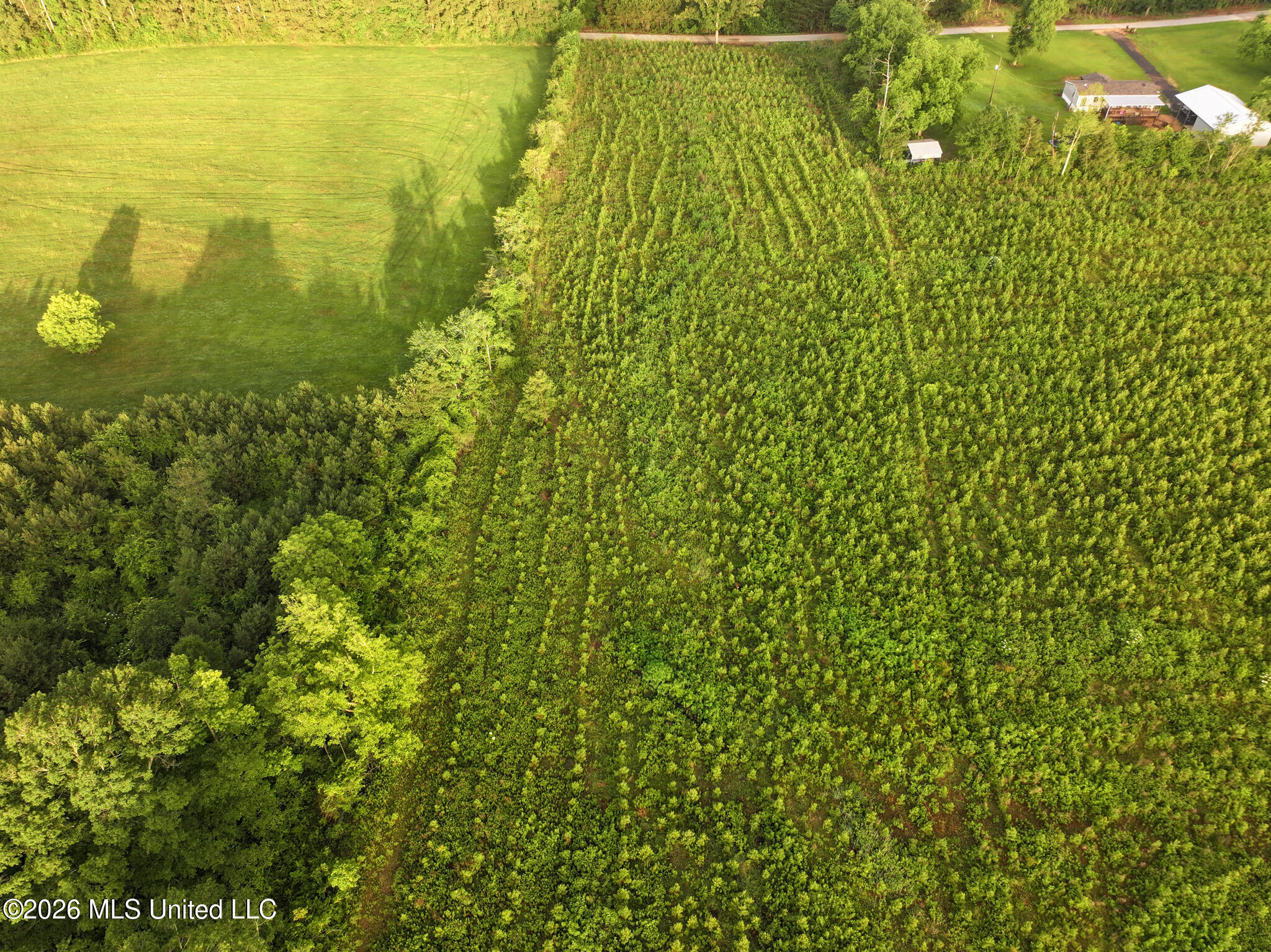 Oak Grove Road Property Photo 8