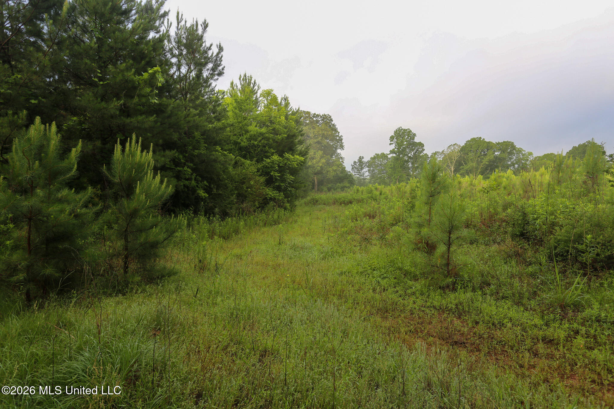 Oak Grove Road Property Photo 9