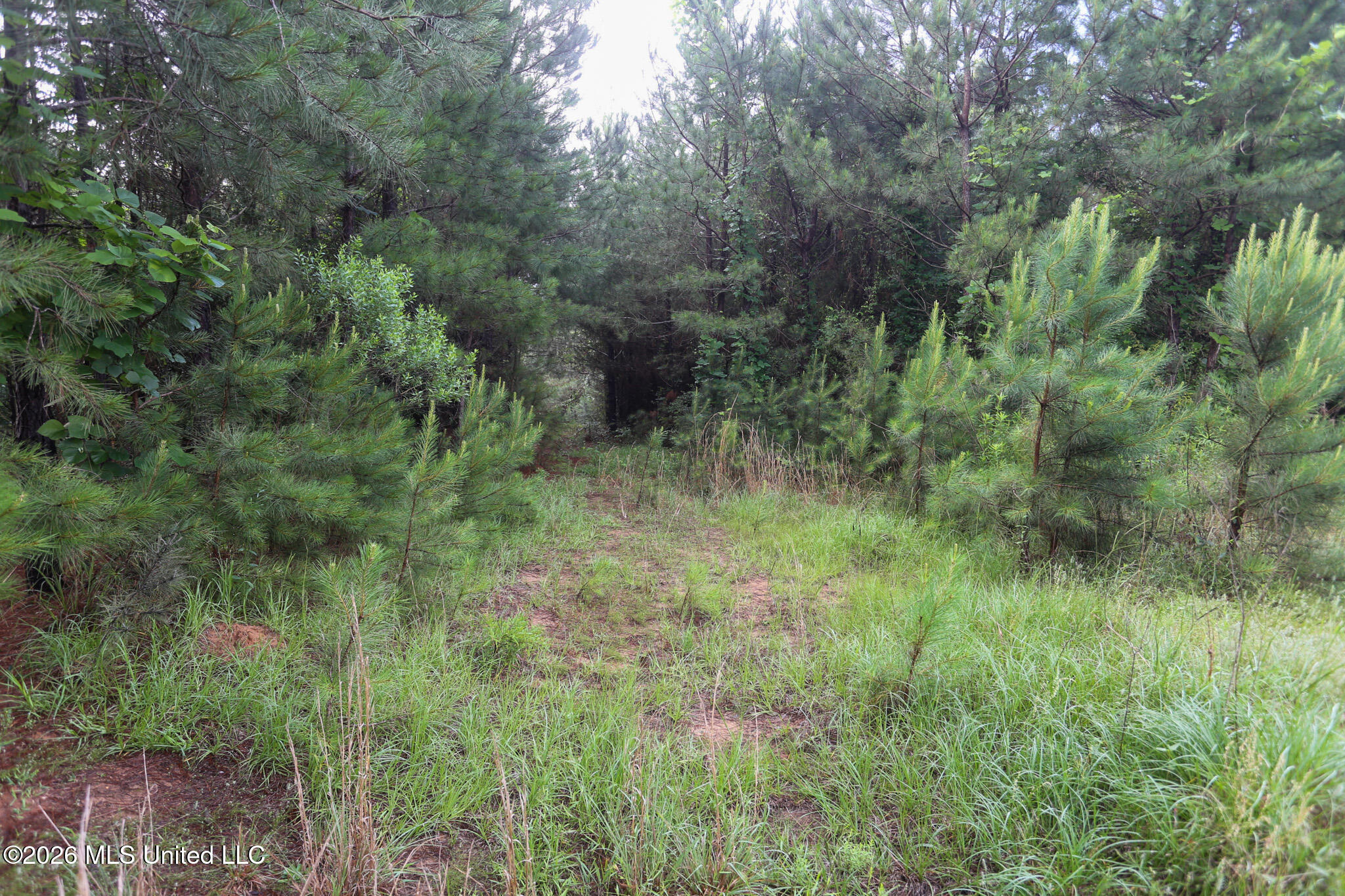 Oak Grove Road Property Photo 10