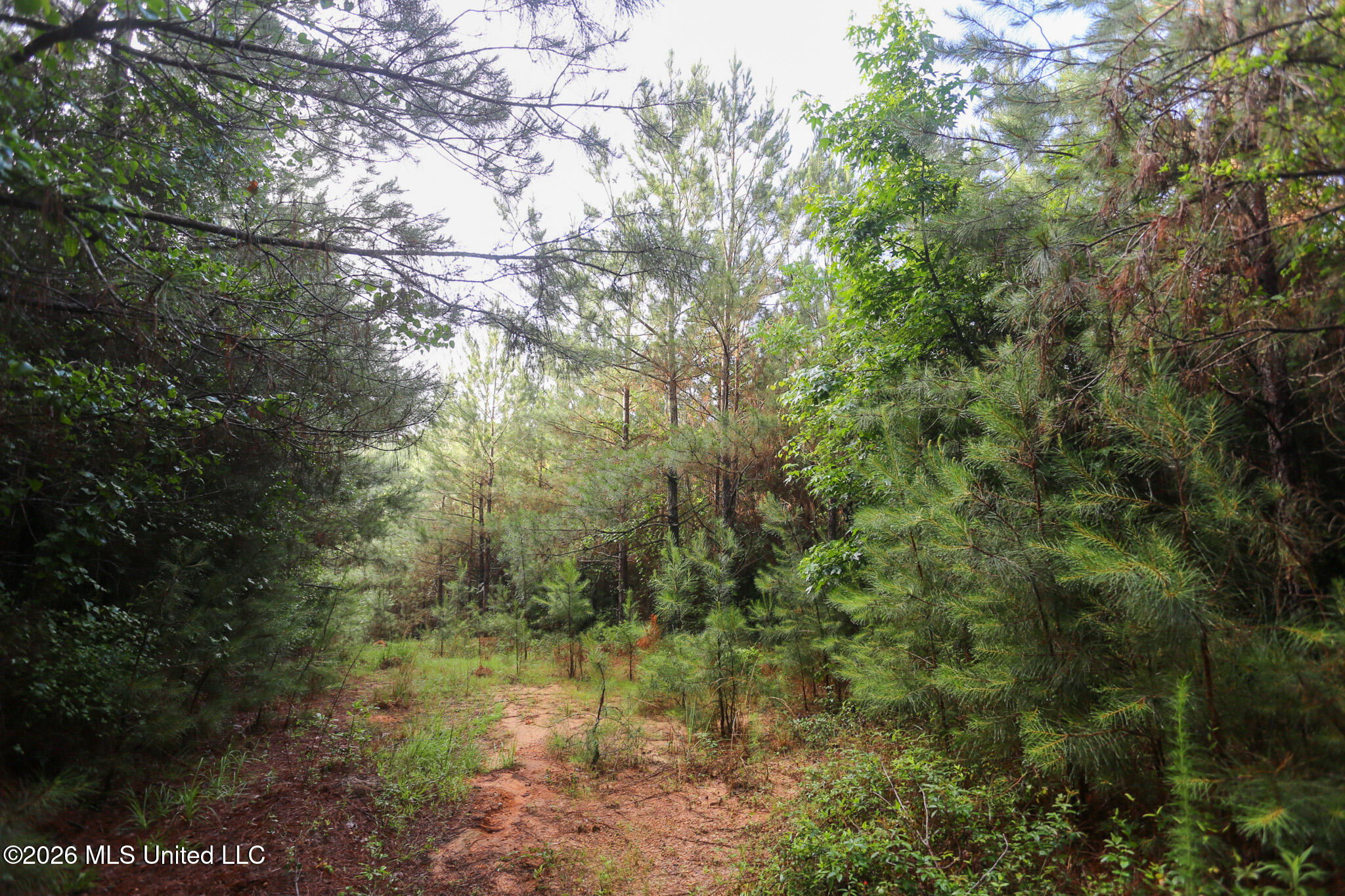 Oak Grove Road Property Photo 11